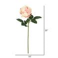 thumbnail image 2 of Vickerman 25" Artificial Light Pink Open Rose Stem, 6 per Bag, 2 of 4