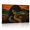 B, variant on XaaKee Amber Serpent Mosaic Mystic Woman Portrait Art Prints Canvas Wall Art Inner Framed 18*12Inch