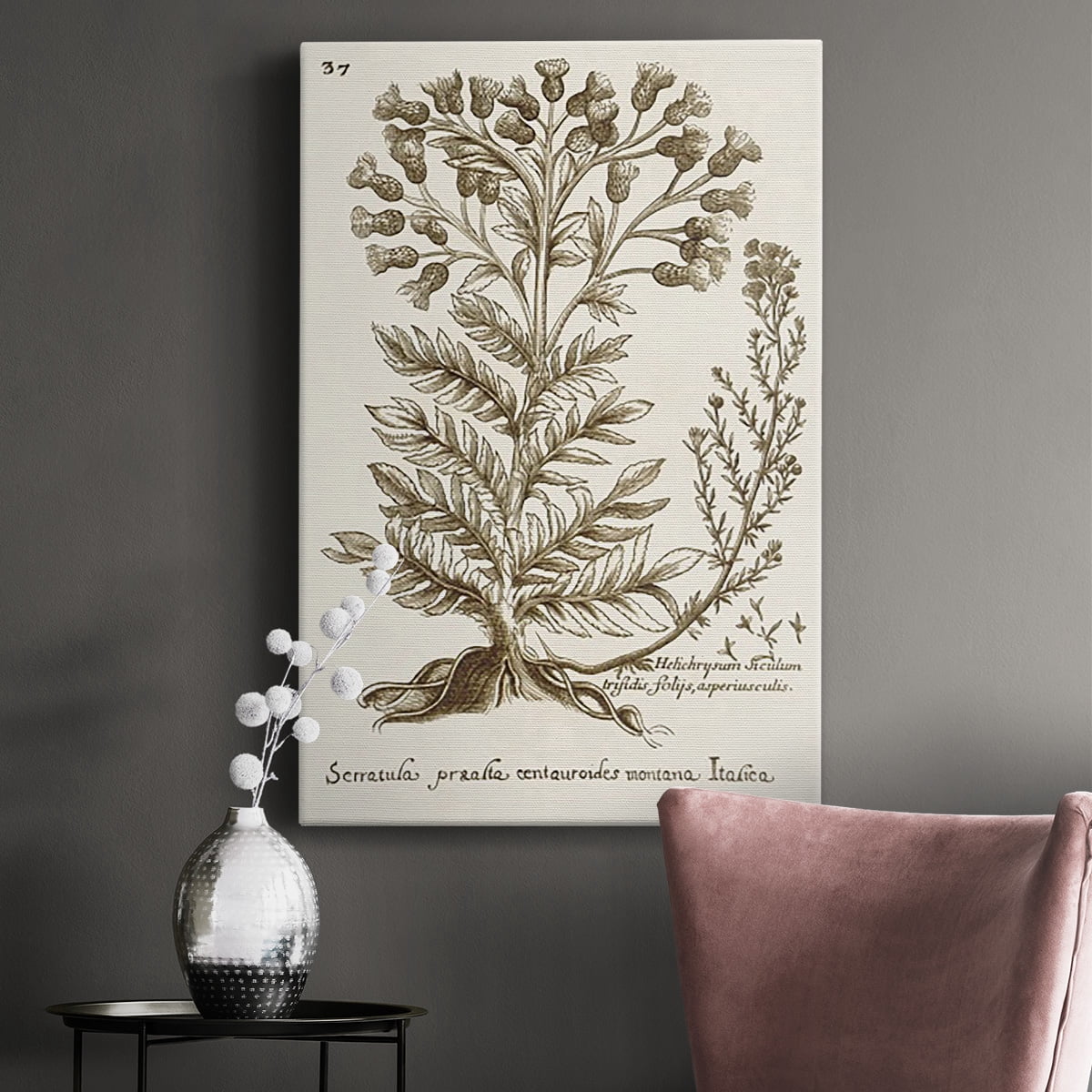 Sepia Botanical Journal I Premium Gallery Wrapped Canvas - Ready to Hang