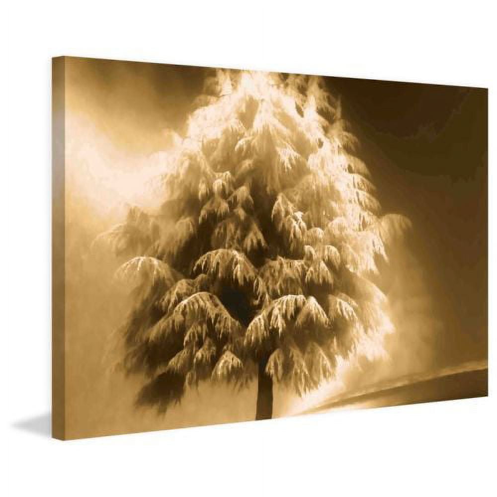 "Enlightened Tree" Painting Print on Wrapped Canvas