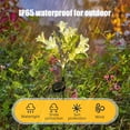thumbnail image 5 of geerera Solar Powered Lily Flower Lights, Waterproof Landscape Lighting, Outdoor Garden Stakes, for Pathway, Yard, Patio Decor, 5 of 6