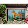 thumbnail image 3 of Carolines Treasures SS8660MAT Tapis de Porte Intérieur Min. 18 x 27 Po, 3 of 4