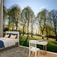 thumbnail image 2 of Peel and Stick Wallpaper Green Park fresh sunrise morning Modern Art Wall Mural Decor Self Adhesive and Removable 100in x 144in, 2 of 8