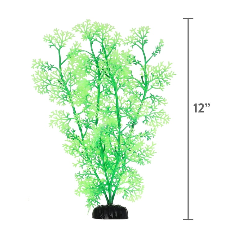 Vibrant Life Medium Plant Set, Green, 3 Pieces photo 5