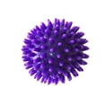 thumbnail image 3 of Bolas de , Bola de de pies, multipropósito, portátil, Manual Compacto de mano Bolas plantares Bola de ejercicio para Púrpura Yinane Pelota de masaje, 3 of 7