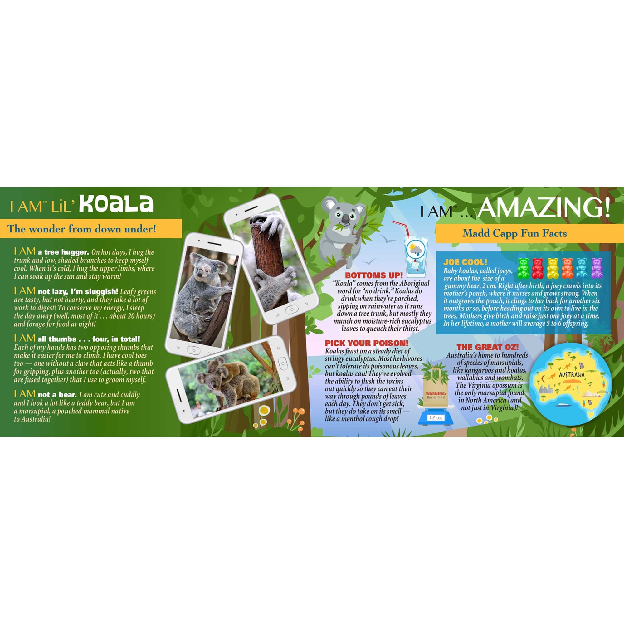 Madd Capp LiL' KOALA 100 Piece Jigsaw Puzzle For Ages 5+ - 4020 - Unique Animal-Shaped Border, Poster Size when completed, Oversized Puzzle Pieces For Easy Handling, Includes Educational Fun Facts