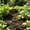 Brown,A, variant on Metal Venus Flytrap Garden Stake, Hand Carnivorous Plants Sculpture, Outdoor Yard Art Decor for Patio Tropical Theme Party Gift