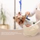 thumbnail image 5 of unbranded Delantal De Corte Para Perros Y Con Material Resistente Color, 5 of 6