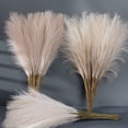 thumbnail image 4 of 1pc Faux Pampas Grass Tall 19.29"/ 1.61FT, Non-Shedding Large Artificial Fluffy Reed Fake Flower Feather Arrangement for Floor Vase Filler Boho Farmhouse Home Wedding Decor, 4 of 8