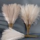 thumbnail image 4 of Ramo de pampas artificiales de plástico Lifeuping de 49 cm, 4 of 8
