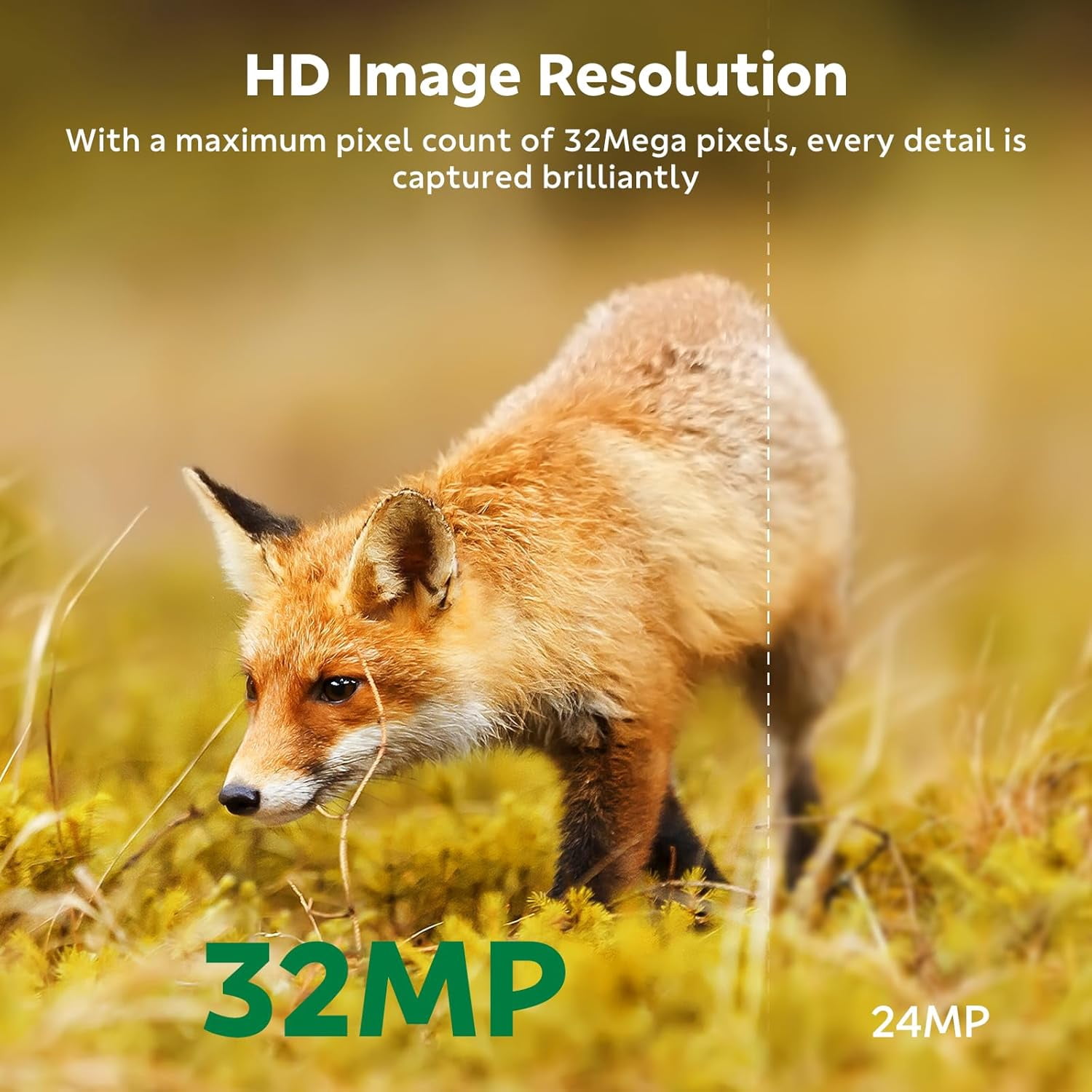 CAMPARK WiFi Trail Camera 32MP 1080P Deer Hunting Game Camera with Infrared Night Vision 0.1s Fast Trigger Time Motion Activated Waterproof IP66 130° Wide Angel 2.4" LCD Trail Wildlife Camera