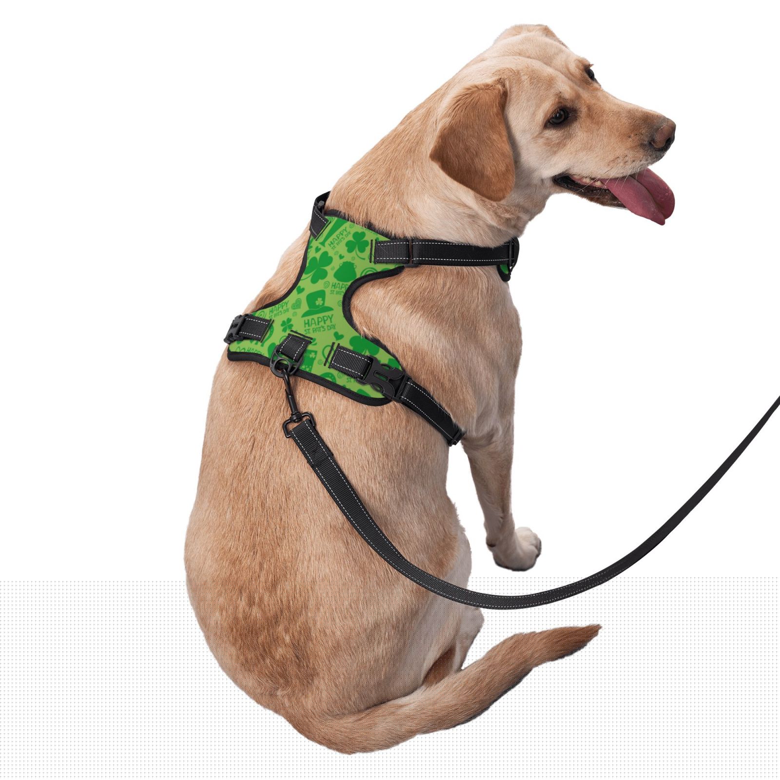 thumbnail image 3 of Gaeub St Patrick's Day Gaeub St Patrick's Day No Pull Dog Harness, Secure and Adjustable Pet Vest for Outdoor Activities - X-Large, 3 of 9