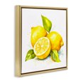 thumbnail image 3 of Stupell Industries Farmhouse Lemon Harvest Fruits Gold Floating Frame Canvas Art, 25 x 25, by Andrea Haase, 3 of 8