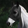 thumbnail image 1 of Máscara antimoscas de malla suave con orejas y protección UV para caballos, 1 of 9