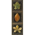 thumbnail image 2 of Pinto, Patricia 11x24 Gold Ornate Wood Framed with Double Matting Museum Art Print Titled - Three Leaves II, 2 of 4