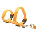 thumbnail image 3 of LAICAIW Cat Harness and Leash Adjustable Nylon Halter Harness Kitten Nylon Strap Belt Safety Rope Leads (Orange), 3 of 7