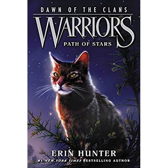 Pre-Owned Warriors: Dawn of the Clans #6: Path of Stars (Paperback) 0062410040 9780062410047