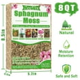 thumbnail image 3 of ZeeDix 6OZ Premium Sphagnum Moss for Plants, 8QT Natural Long Fibered Orchid Moss Sphagnum Peat Moss Bulk for Carnivorous,Orchid,Sarracenia,Succulent,Venus Fly Traps and Reptiles, 3 of 8
