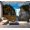 Color2, variant on Peel and Stick Wallpaper Sun shining trees sand path Modern Art Wall Mural Decor Self Adhesive and Removable 69in x 98in