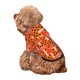 thumbnail image 5 of Balery Forest Mushrooms Sudadera con Capucha para Perros Pequeños – Ropa para Mascotas, Disfraz para Perros y Gatos, Ideal para Fiestas y Cosplay-Medium, 5 of 7