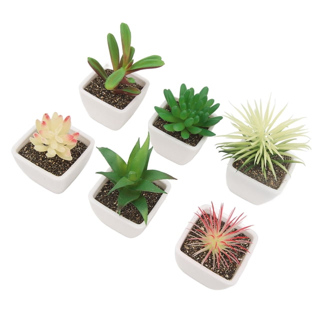 Artificial Succulent Pot, Potted Artificial Succulents for Living Room