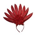 thumbnail image 1 of Tocado de Plumas Salvador 40 cm x 46 cm Rojo, 1 of 10