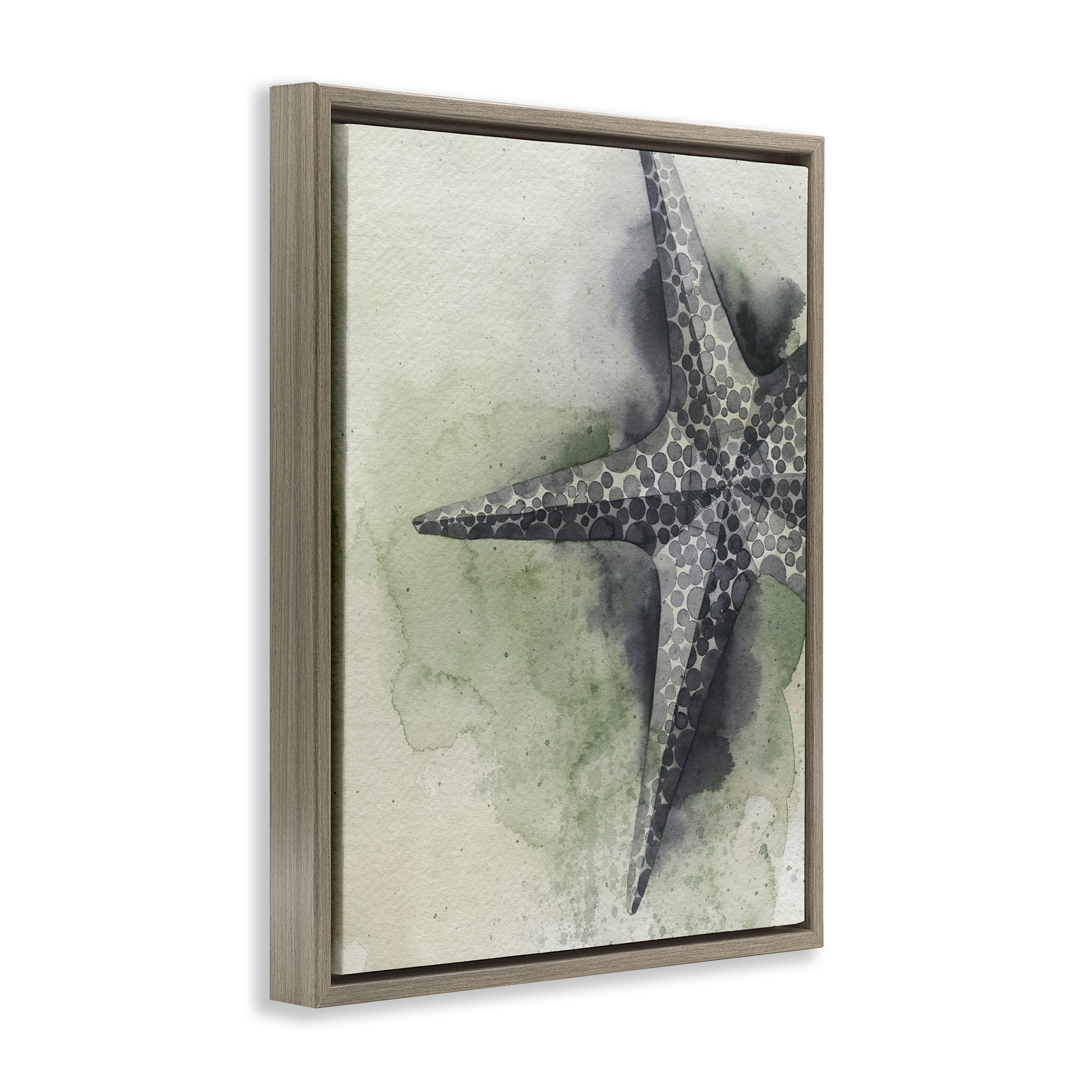Stupell Industries Spotted Grey Starfish Animals & Insects Painting Brown Floater Framed Canvas Art Print Wall Art, 25 x 31
