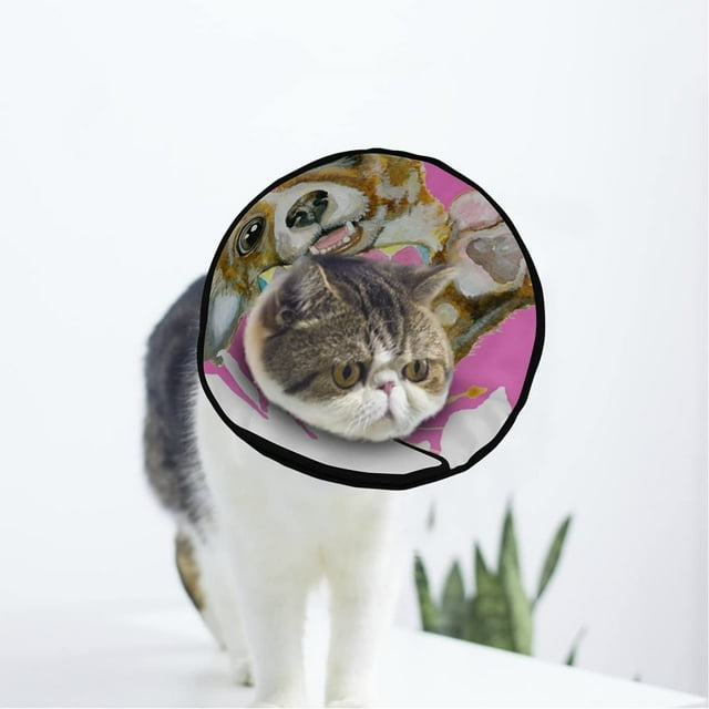 Collier de Récupération pour Chien Doux Ajustable après Chirurgie pour Grands/moyens/petits Chiens Chat