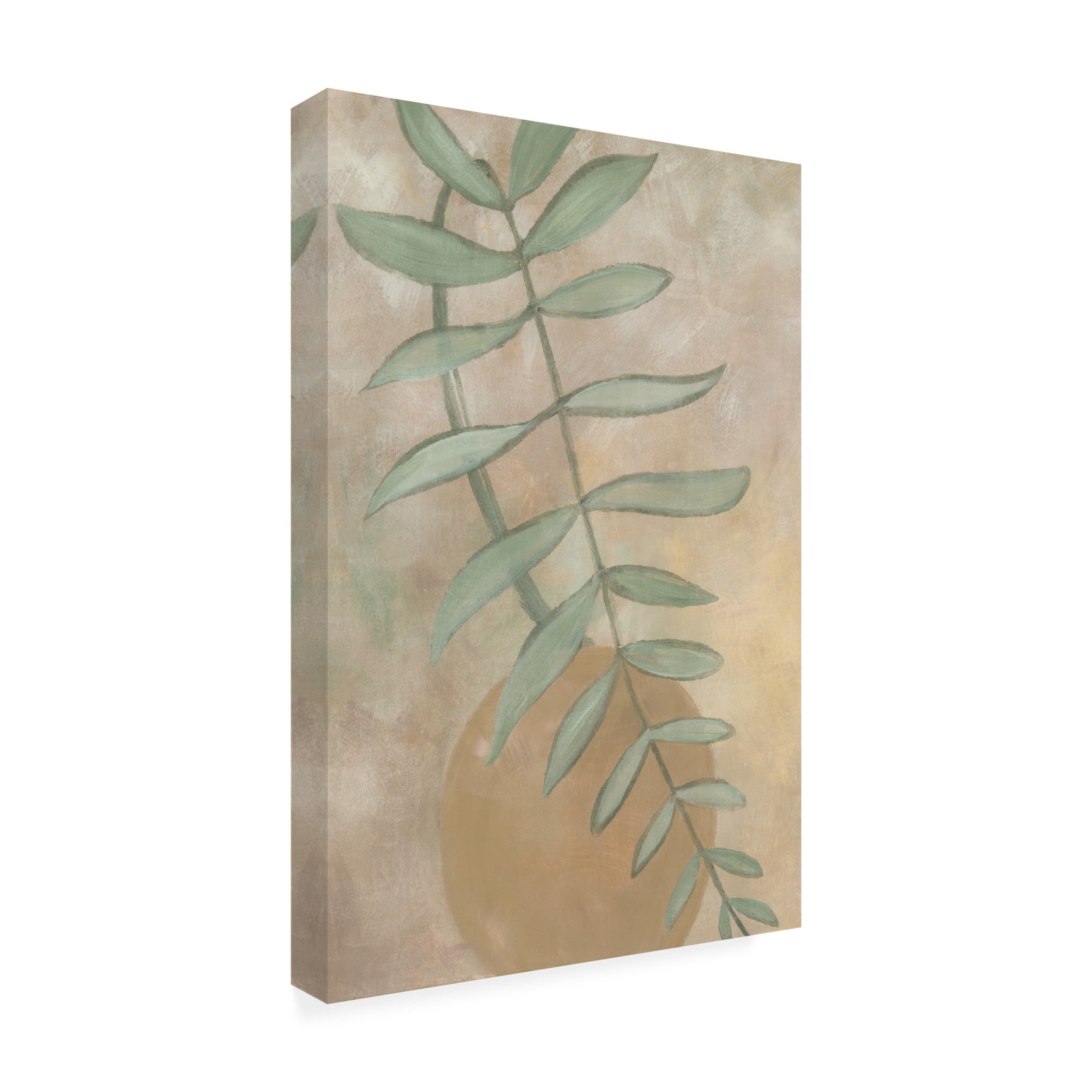 Trademark Fine Art Rosana Laiz Blursbyai Sang vase with branch Canvas Wall Art