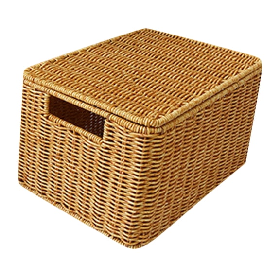 LEXSOMEO Basket with Lid Storage Basket Closet Lidded Storage Bins For Book Sundries