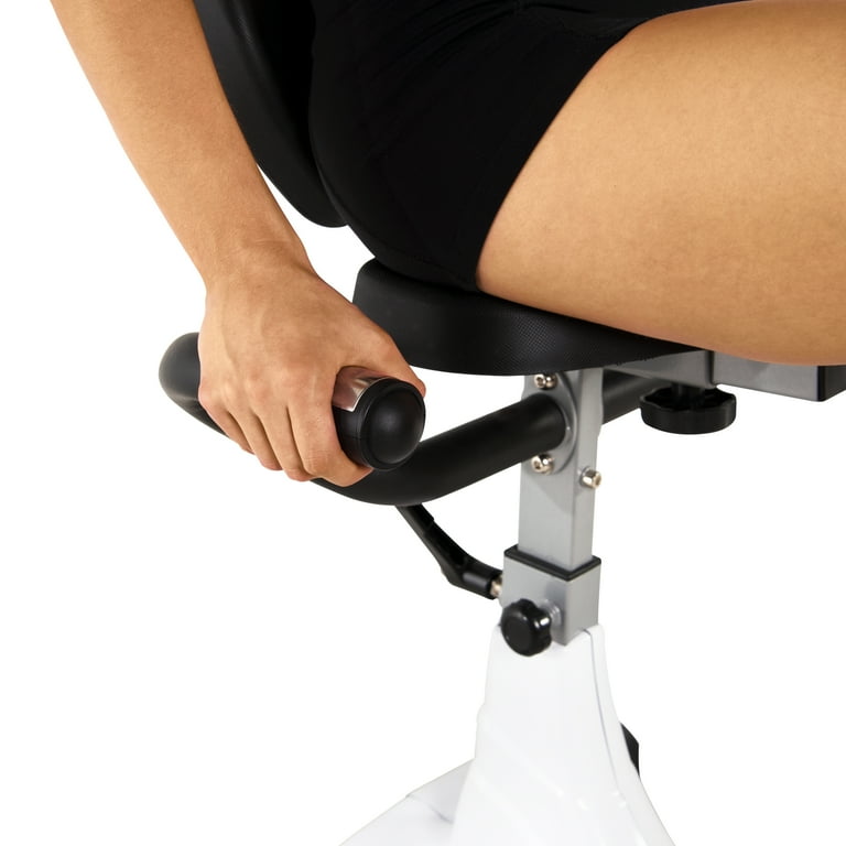 Velocity exercise recumbent online bike