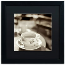 Trademark Fine Art "Jardin du Luxembourg II" Canvas Art by Alan Blaustein, Black Matte, Black Frame