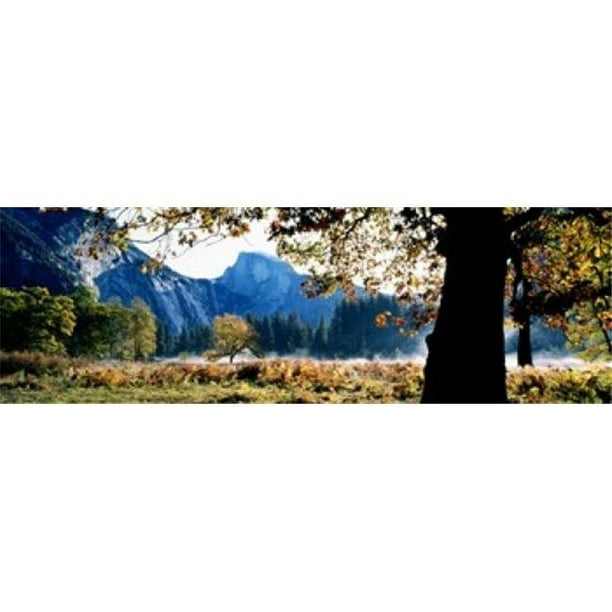 Panoramic Images PPI45560L Demi-Dôme Yosemite Parc National Californie Affiche Imprimée par Panoramic Images - 36 x 12