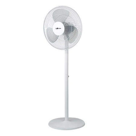 Ecohouzng 40 6 Cm 16 In Oscillating Pedestal And Table Fan Walmart Canada