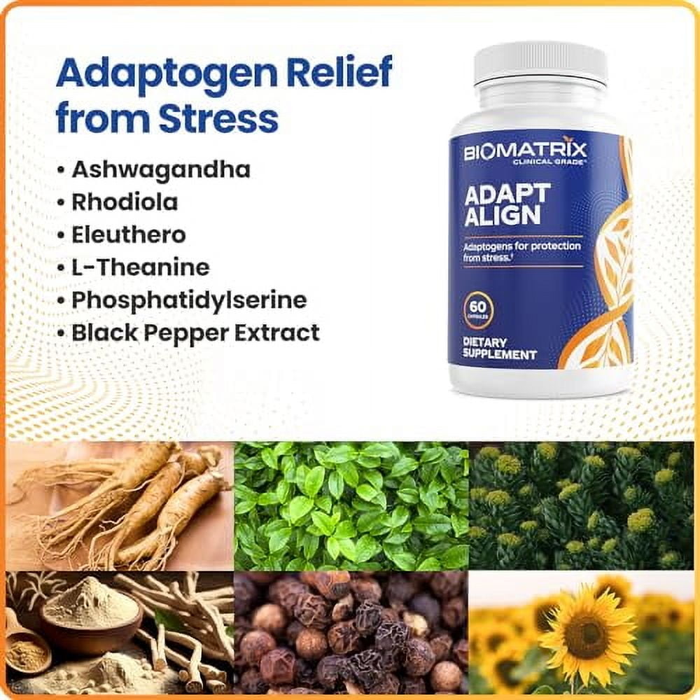 Adaptogen Supplement w/ Ashwagandha, L-Theanine, Rhodiola, Ginseng | Cortisol Support, Stress Relief, Focus, Mood | 60 Capsules
