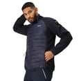 thumbnail image 4 of Regatta Veste Hybride Clumber IV pour Hommes, 4 of 7
