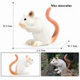 thumbnail image 1 of Oenux Wild Animals Simulation Rodent Marmot Mouse Model Squirrel Rat Chinchilla Action Figure Figurine Collection Cute Kid Toy, 1 of 10
