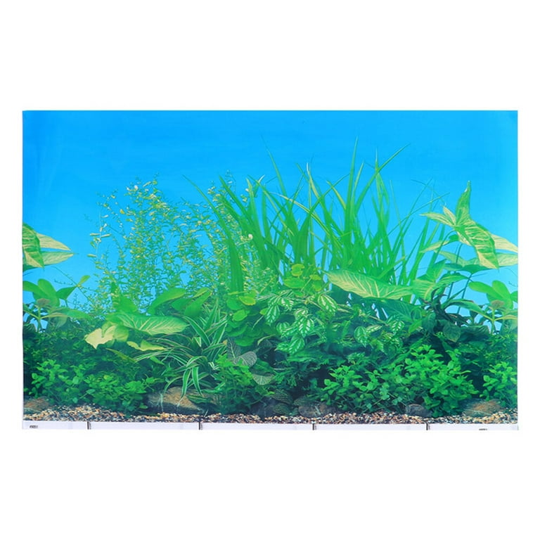 Nuolux Fish Tank Background Underwater Poster Aquarium Background Landscape Backdrop, Size: 80.00