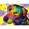 thumbnail image 2 of Dean Russo Collection 18x14 White Modern Wood Framed Museum Art Print Titled - YELLOW sorta LAB, 2 of 4