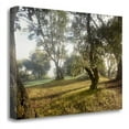 thumbnail image 2 of 32" x 21" Oak Tree - 70 by Alan Blaustein - Print on Canvas Fabric Multi-Color, 2 of 3