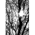 thumbnail image 2 of Stalus, Judy 23x32 White Modern Wood Framed Museum Art Print Titled - Break Through, 2 of 4