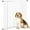 White, variant on PawHut 41" Pet Gate with Walk Through Door for Stairs Doorways House White