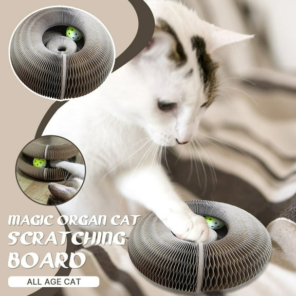 Organ Cat Scratch Board Cat Toy With Cat Scratch Toy