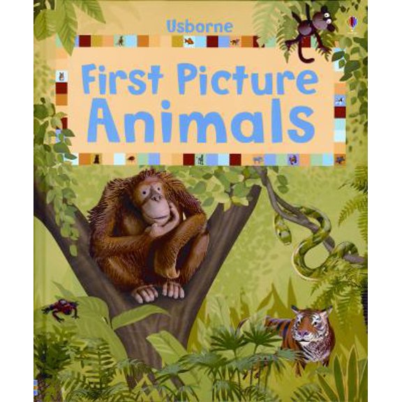 Pre-Owned First Picture Animals (First Picture Board Books) (Unknown) 0794518311 9780794518318