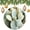 Pattern-4, variant on Cactus Desert Christmas Ornament Summer Green Cactus Succulent Plants Decorative Ornament Keepsake Holiday Ornament for Home Christmas Tree Decor Merry Xmas for Family & Friends