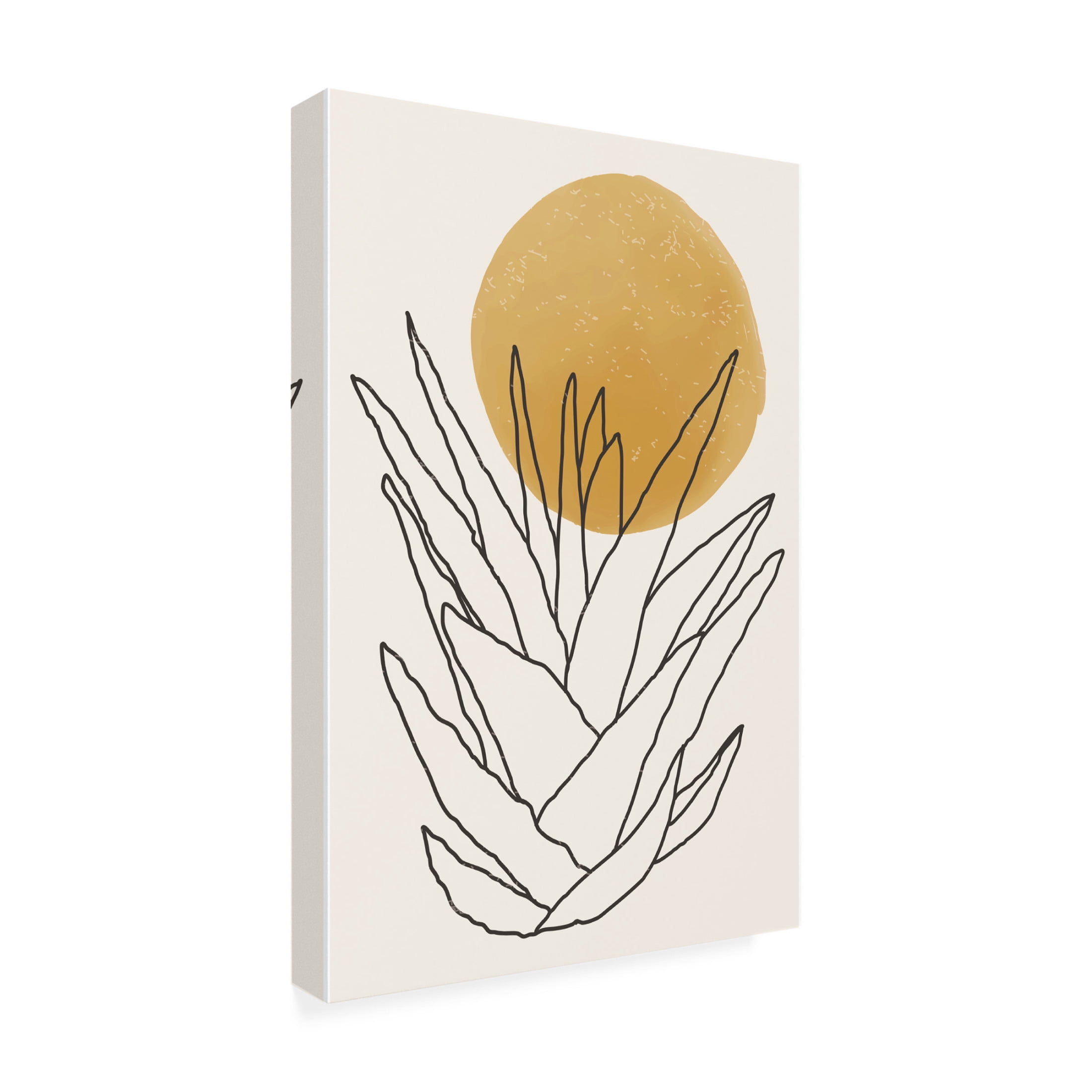 Trademark Fine Art jay stanley  Abstract Agave Sunshine 1 Canvas Wall Art