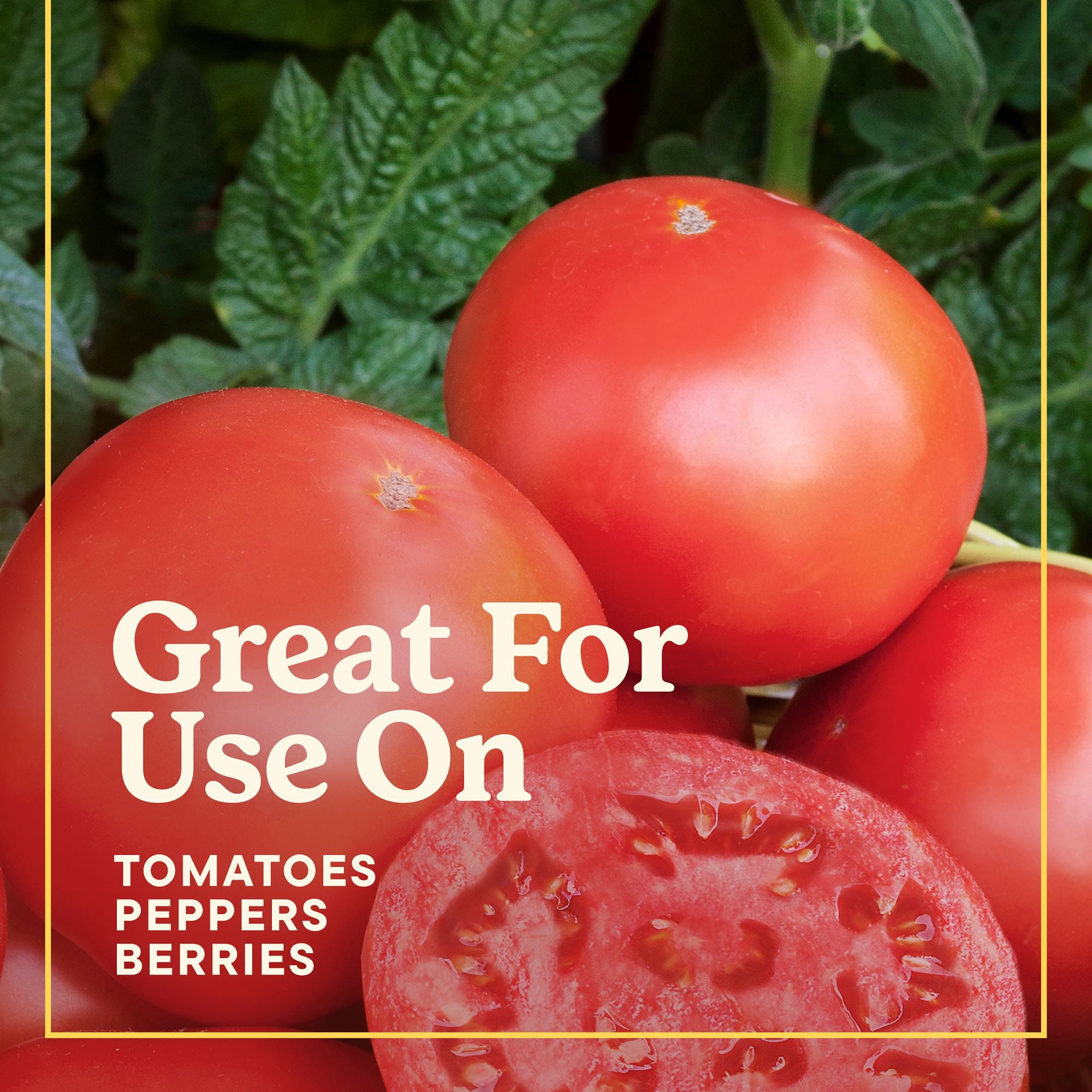 Miracle-Gro LiquaFeed Tomato, Fruits & Vegetables Plant Food Refills, 2 Pack