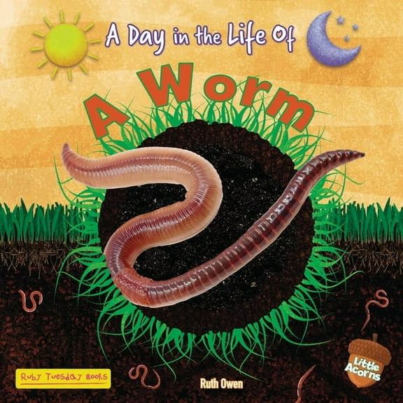 A Day in the Life of (Little Acorns) A Worm, (Hardcover)