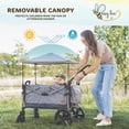 thumbnail image 2 of Busy Bee Foldable Wagon Stroller for 2 Kids, Push Pull Collapsible Kids Wagon with Adjustable Handle Bar, Removable Canopy, 5-Point Harness, Shock-Absorbing Wheels, Grey, 2 of 5
