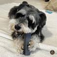 thumbnail image 2 of Bully Bunches Himalayan Yak Chew Variety Pack (2 count) Super Long Lasting Natural Dog Chews, 2 of 10